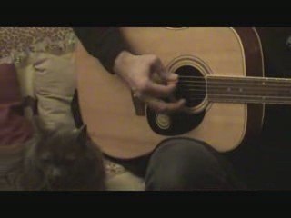 Soirée Guitare avec Benoit et le chat