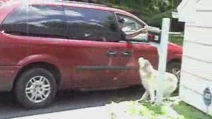 hogan and the mailman, part 1