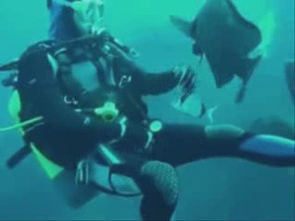Dive in Corsica