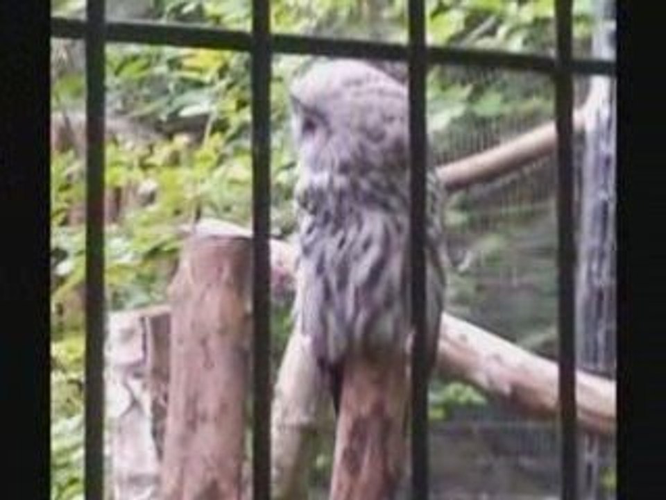 Le zoo de Lille