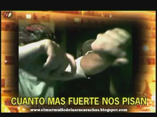 LA RUMBA DEL SPAM. COPLA DE CUCARACHAS