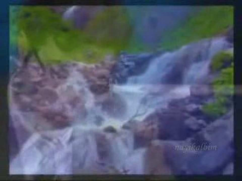 Her günümüzü kandil gibi eyle Allahım Dost