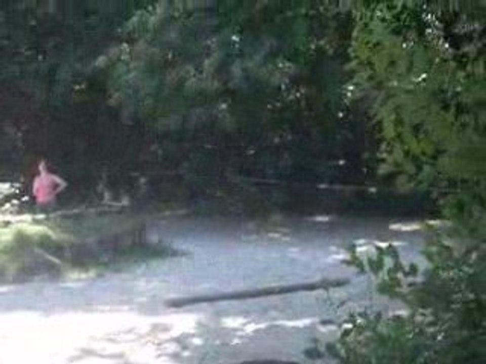 CHV Galop dans la forestière