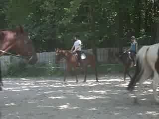 CHV petit échauffement dans la forestière