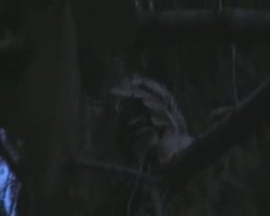 UN VISITEUR INATTENDU, ce 24 juin 2009...