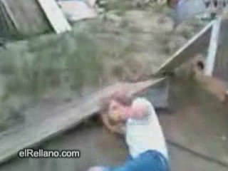 backflip en la tabla