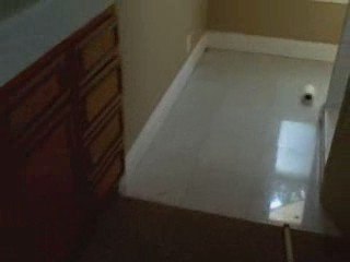 San Diego Handyman Special