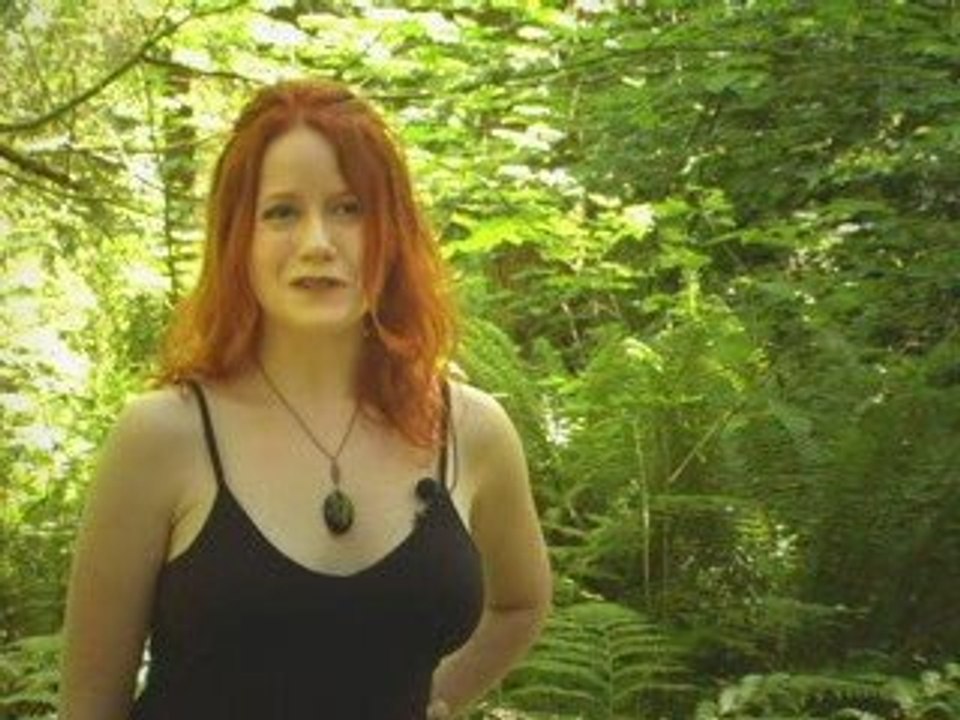 Vampire Academy, Richelle Mead