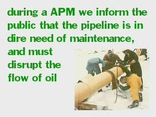 Education Consultancy