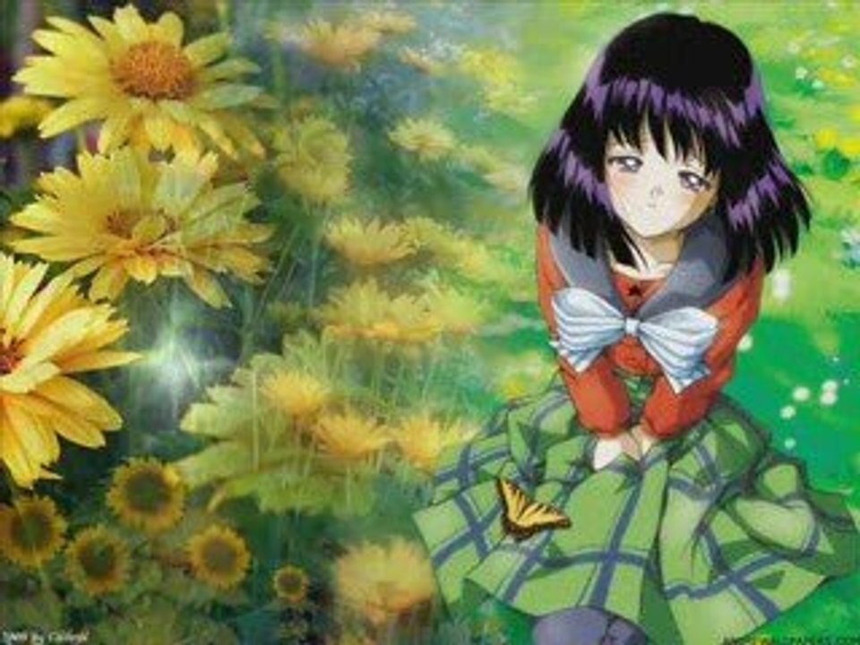 Sailor Saturn Tribute