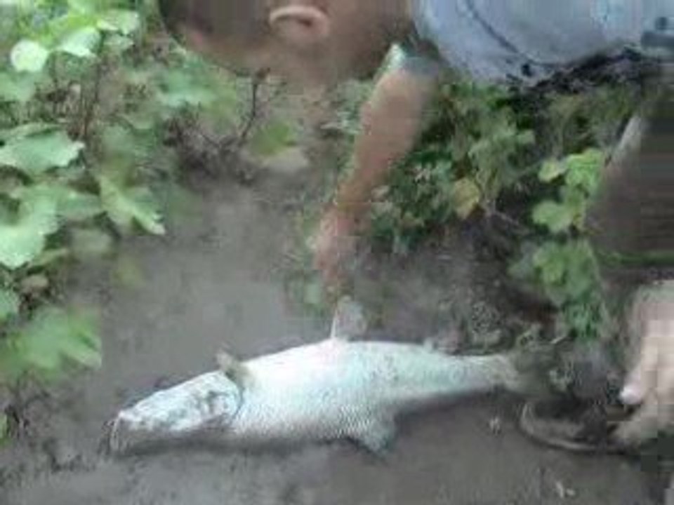 Misinayle gelene bakın