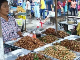 Education Consultancy