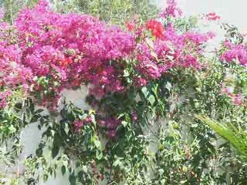 TUNEZJA KARJ MARZEŃ 2(TUNISIE)