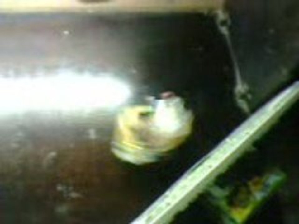 IR bObOt "le teste n°2 " by neo
