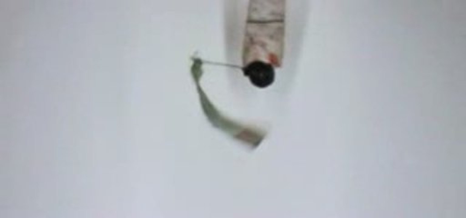 Volatiles1
