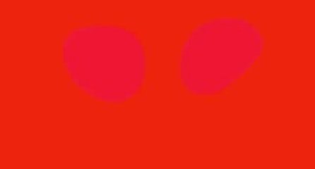 jean charles blais-double vue(interplay)2002-extrait-