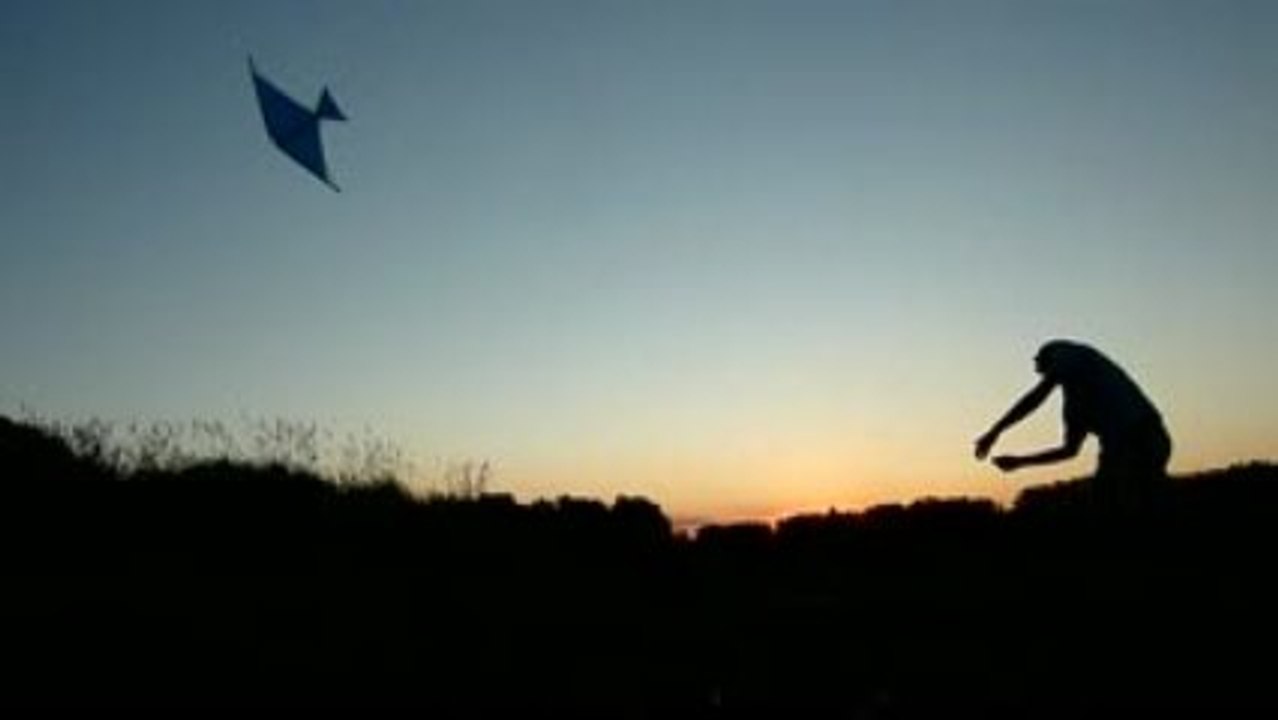 kite session