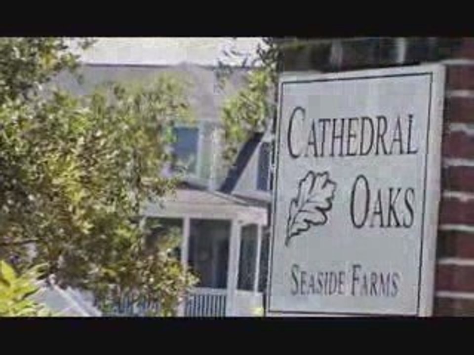 Mt. Pleasant, SC Homes - Seaside Farms Homes