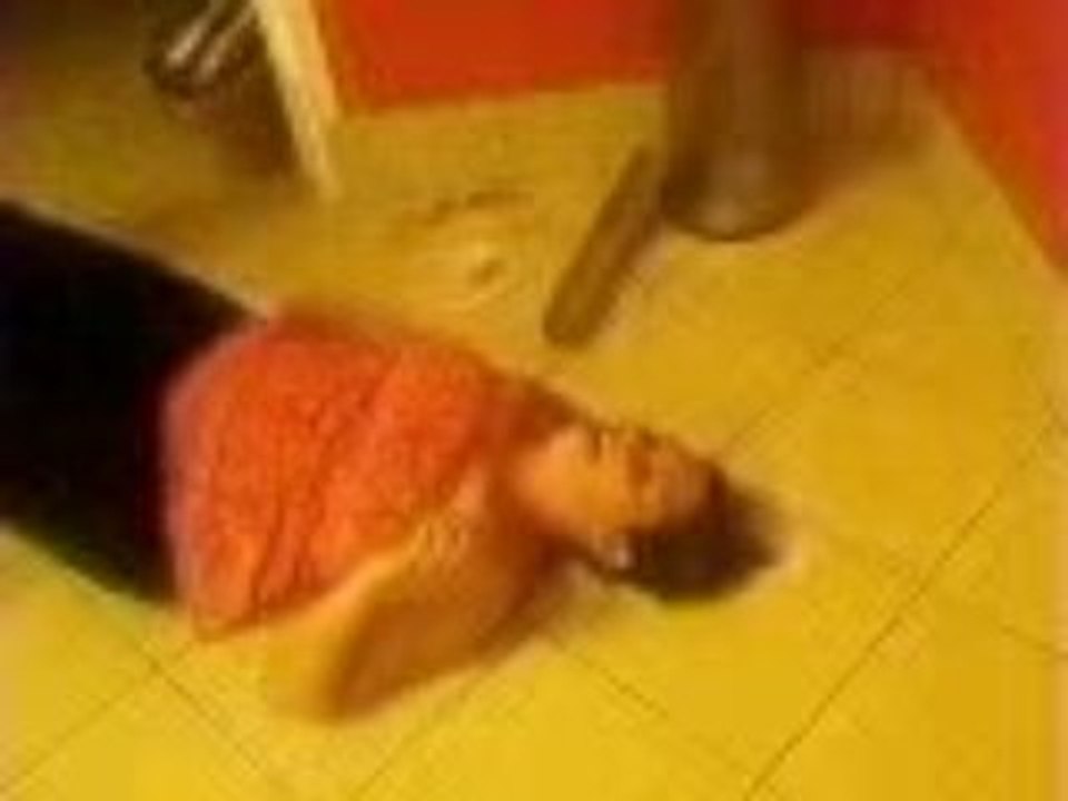 elle est bourée,elle c'est plus ce kel fait^^