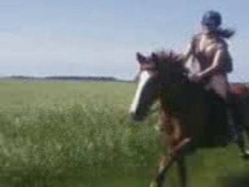 Goutyy au galop