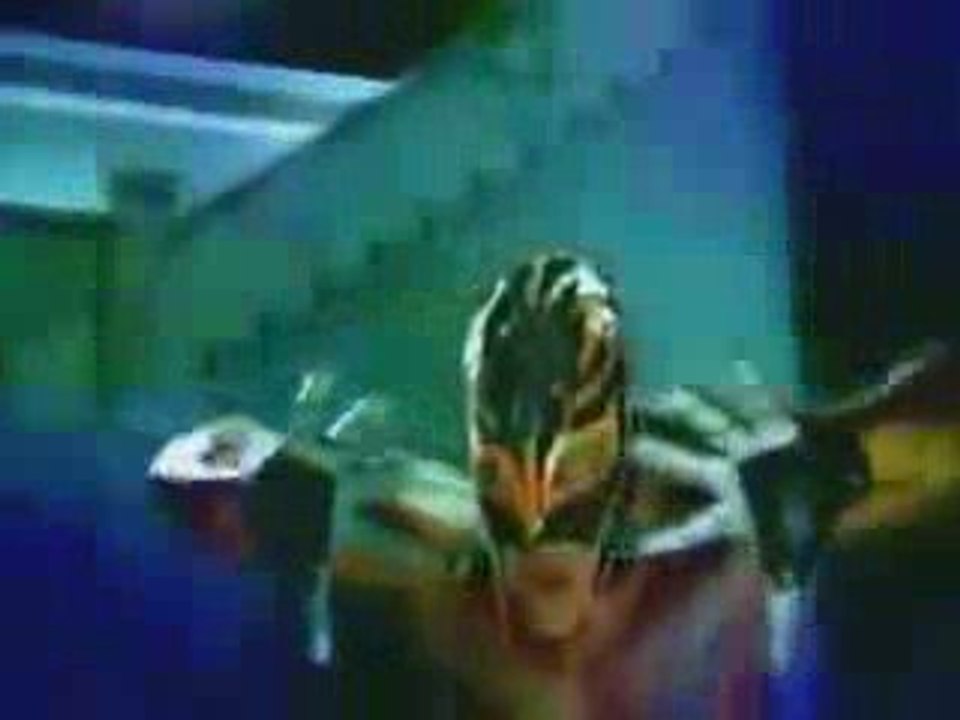rey mysterio new entrance video 2009