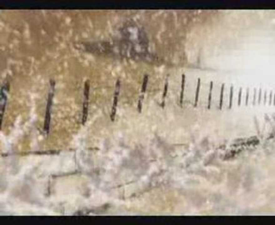 nazan oncel hatirina sustum