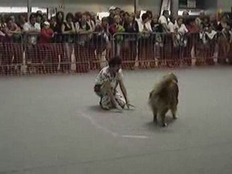 obérythmée Besançon début choré