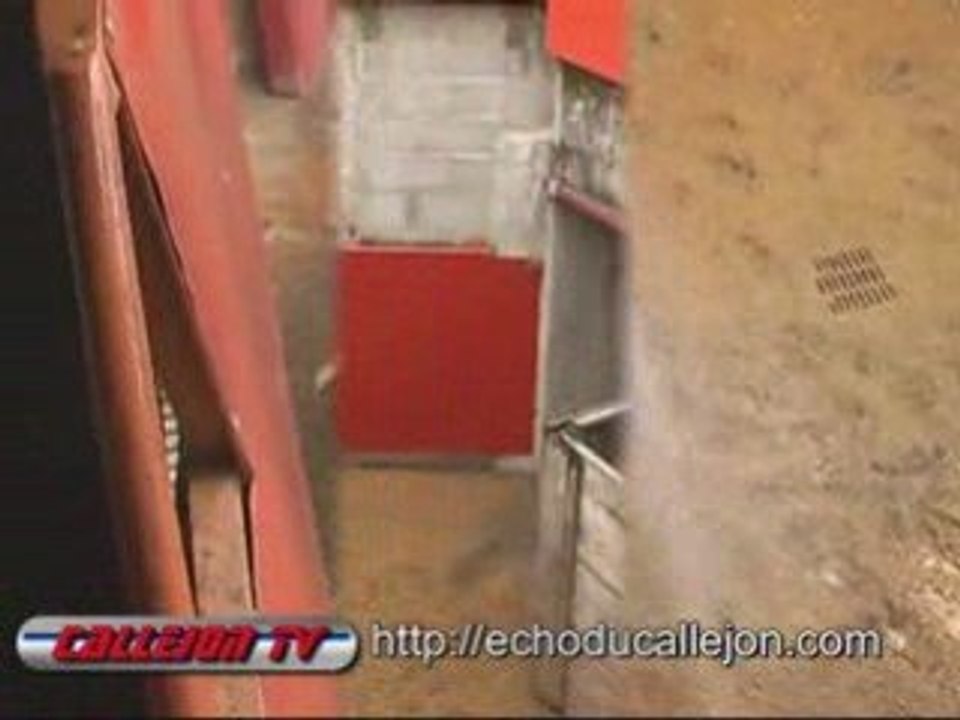 débarquement des toros à Saint-Sever