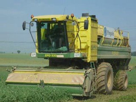 Récolte petits pois dans le Pas de Calais