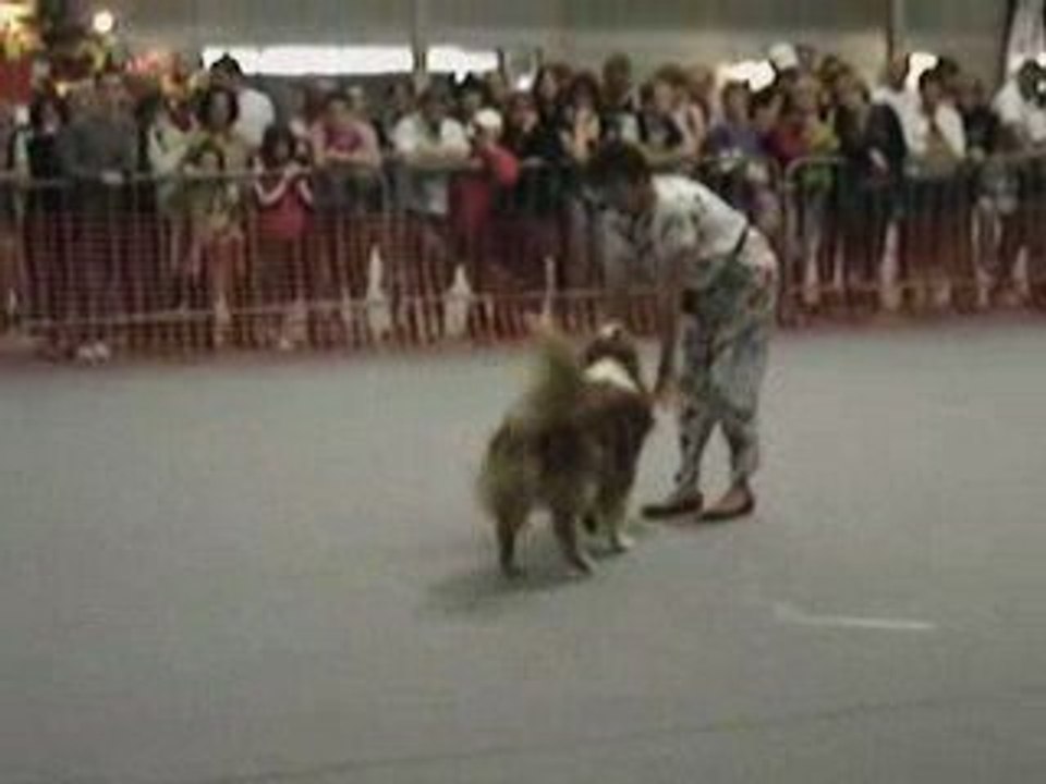 obérythmée Besançon choré