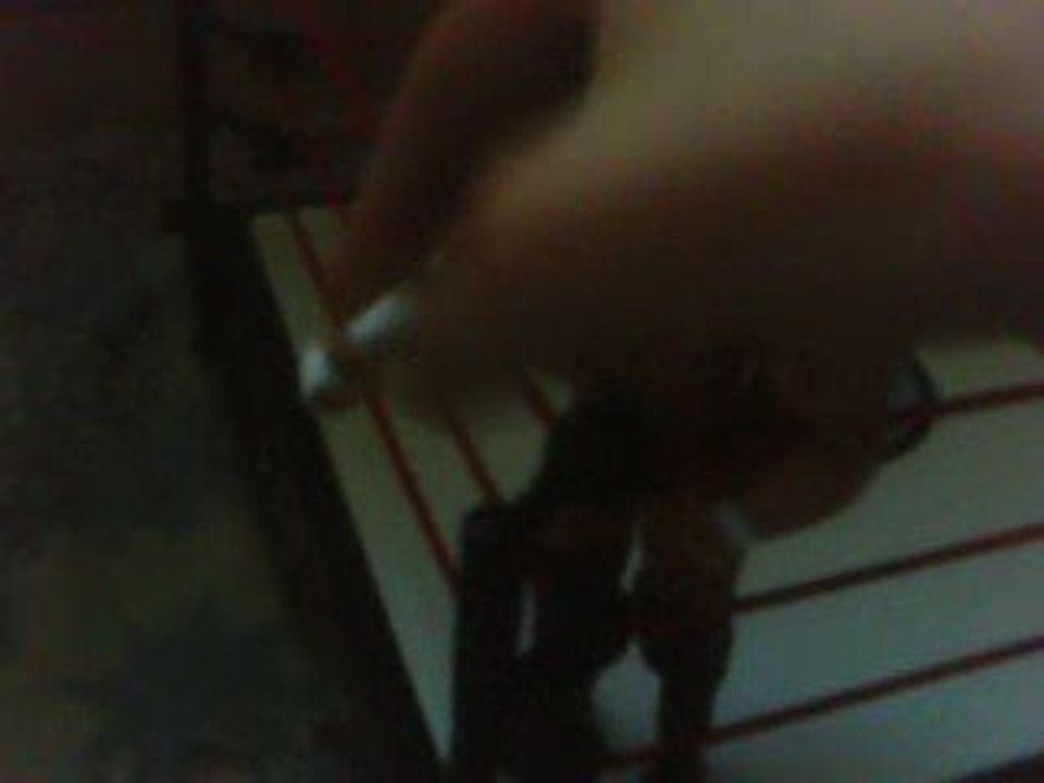 figurine wwe