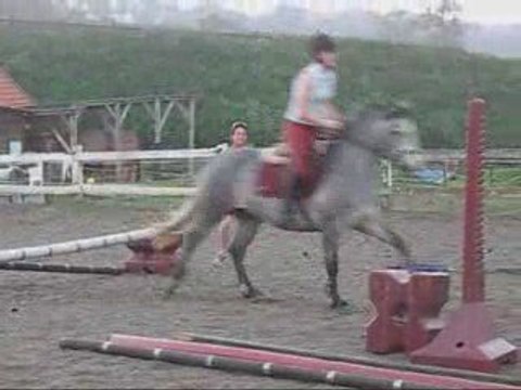 shamrock du neuf clos, premiers saut avec moi