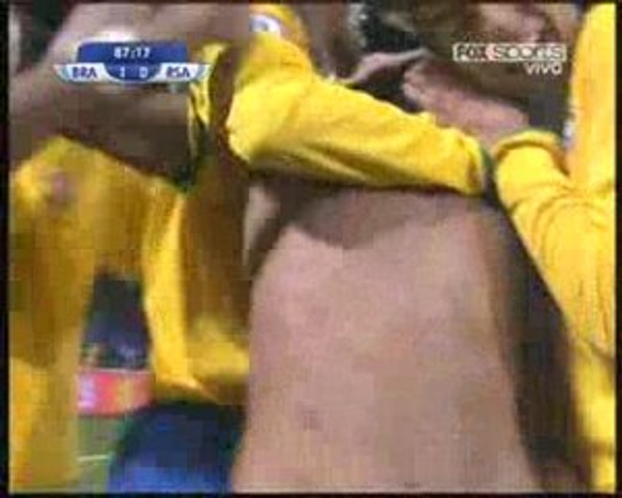 Cachorros lindos 3