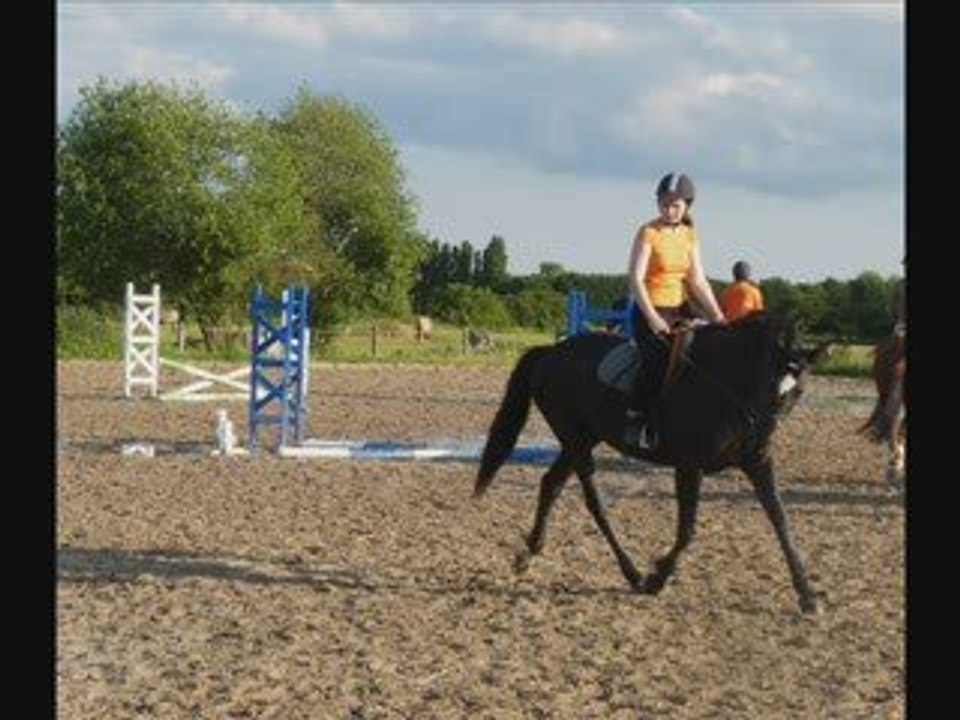 Nina en reprise