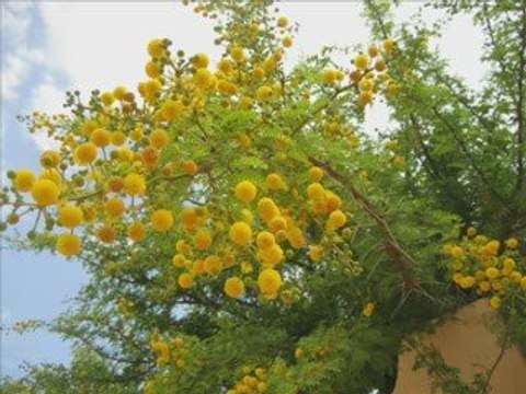 oasis marine mai 2009 zarzis tunisie sud Vacances de clara