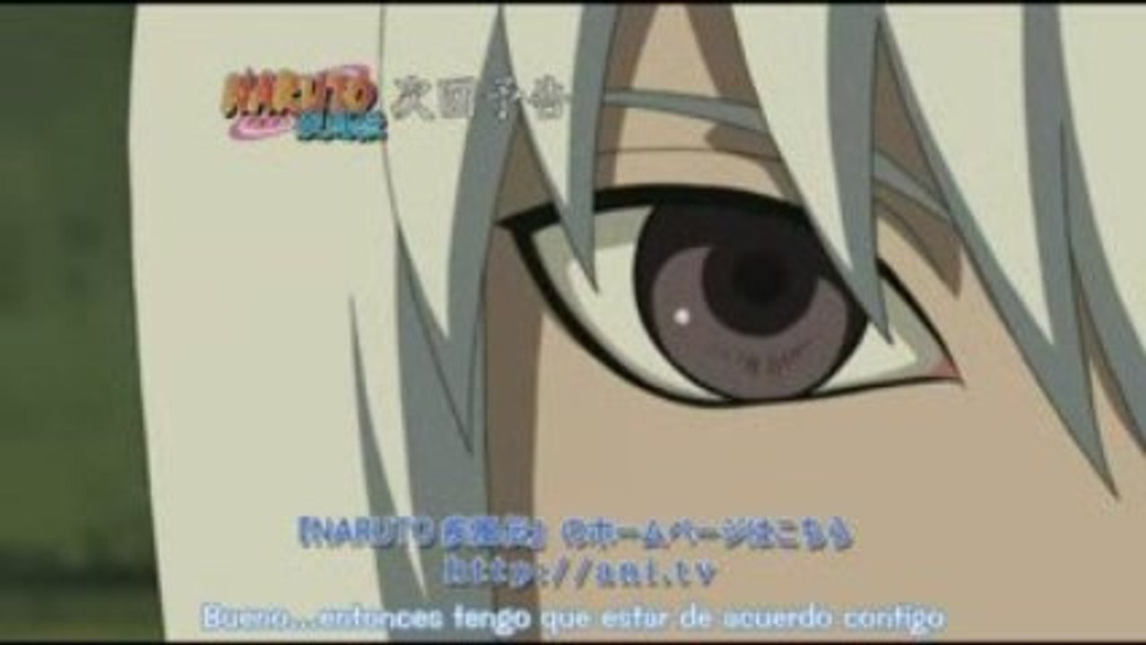 Naruto Shippuden 116 [Avance-Sub Español]