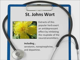 6 Natural Herbs for Anxiety