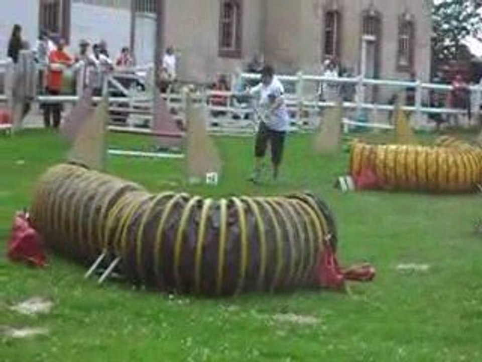 ISA AVEC TEXAS AGILITY 2009