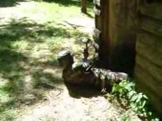 RJS Paintball Montage