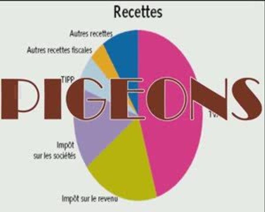 LLP Bande de pigeons