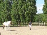 Saint Sébastien sur Loire : équitation