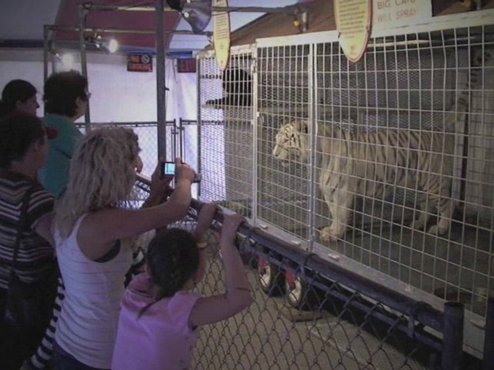 Big Cat Rescue PSA