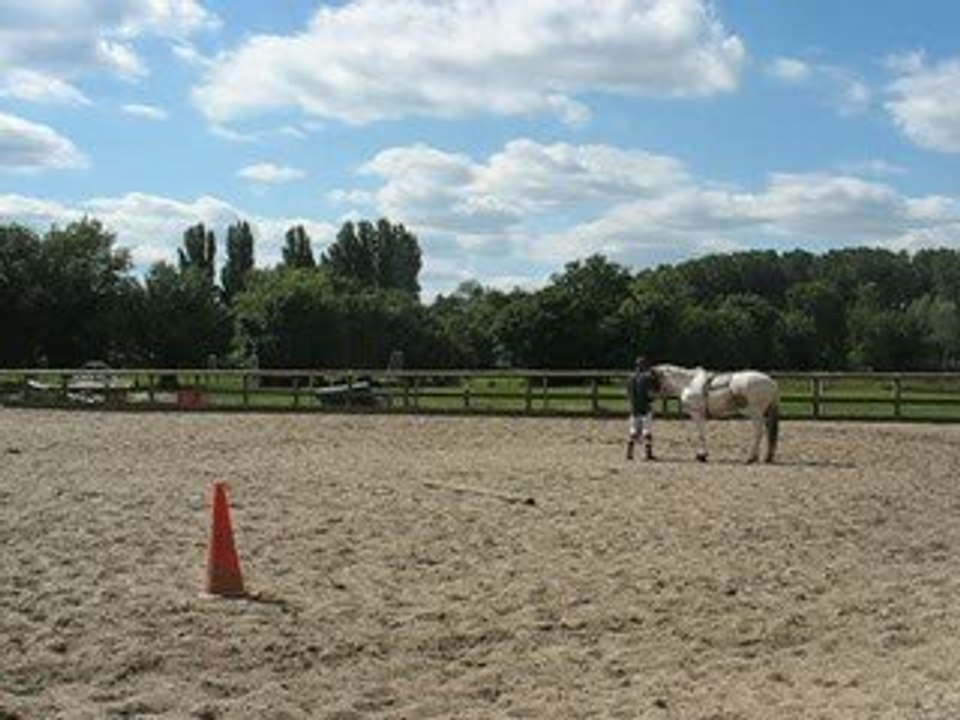 Saint Sébastien sur Loire : équitation