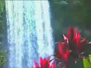 Hallelujah (leonard cohen)