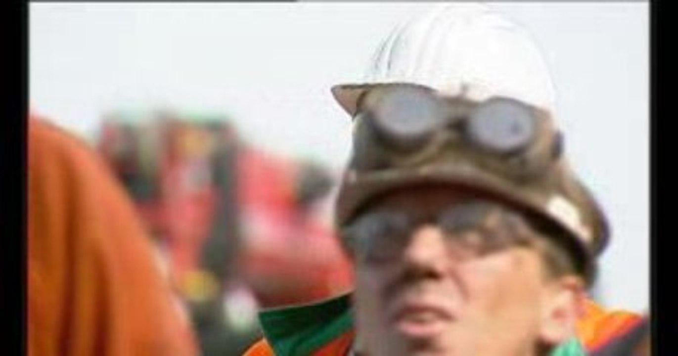 Babic dipl.-ing. projektmanager ( privat )