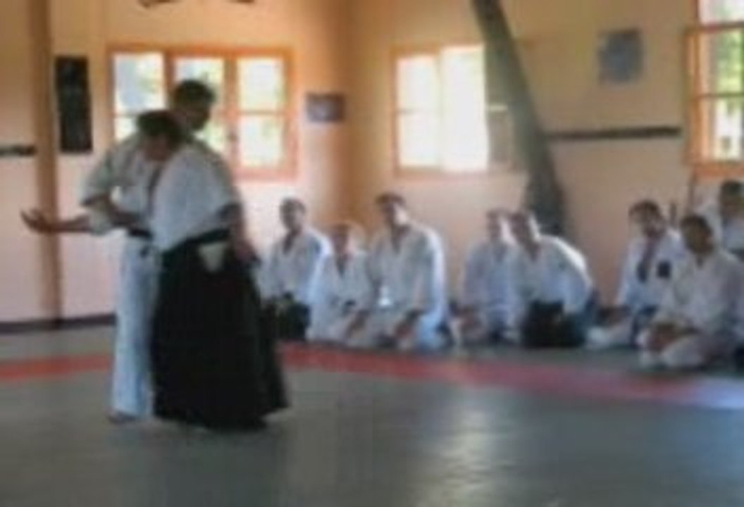 Rencontre Aïkido Eastleigh-Montivillliers 2009