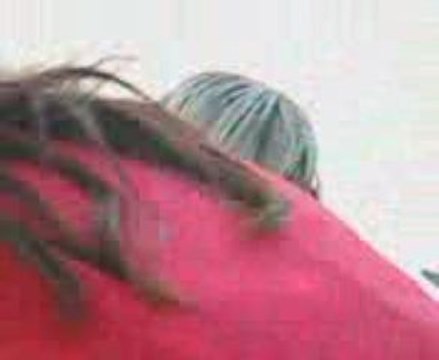 Gros fou rire devant le bahut