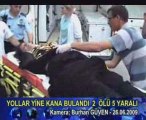 Erzincan Trafik Kazası
