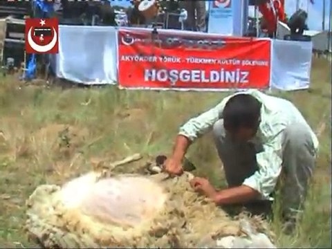 Teke Zortlaması Burdur Folklor Ekibi-koyun kırkımı