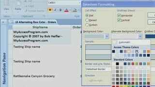 Microsoft Access 2007 Tutorial - Alternating Row Color